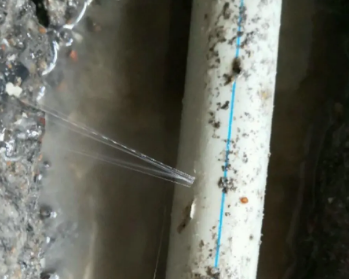 阿拉山口卫生间测漏水多少钱