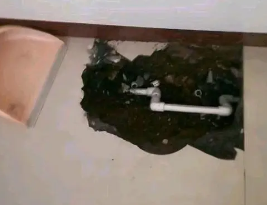 阿拉山口卫生间测漏水多少钱
